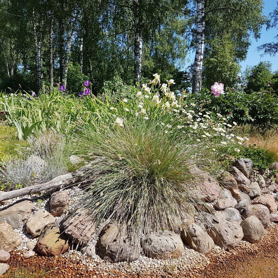 Vila Sanzila Bernatoniai Eksteriør bilde